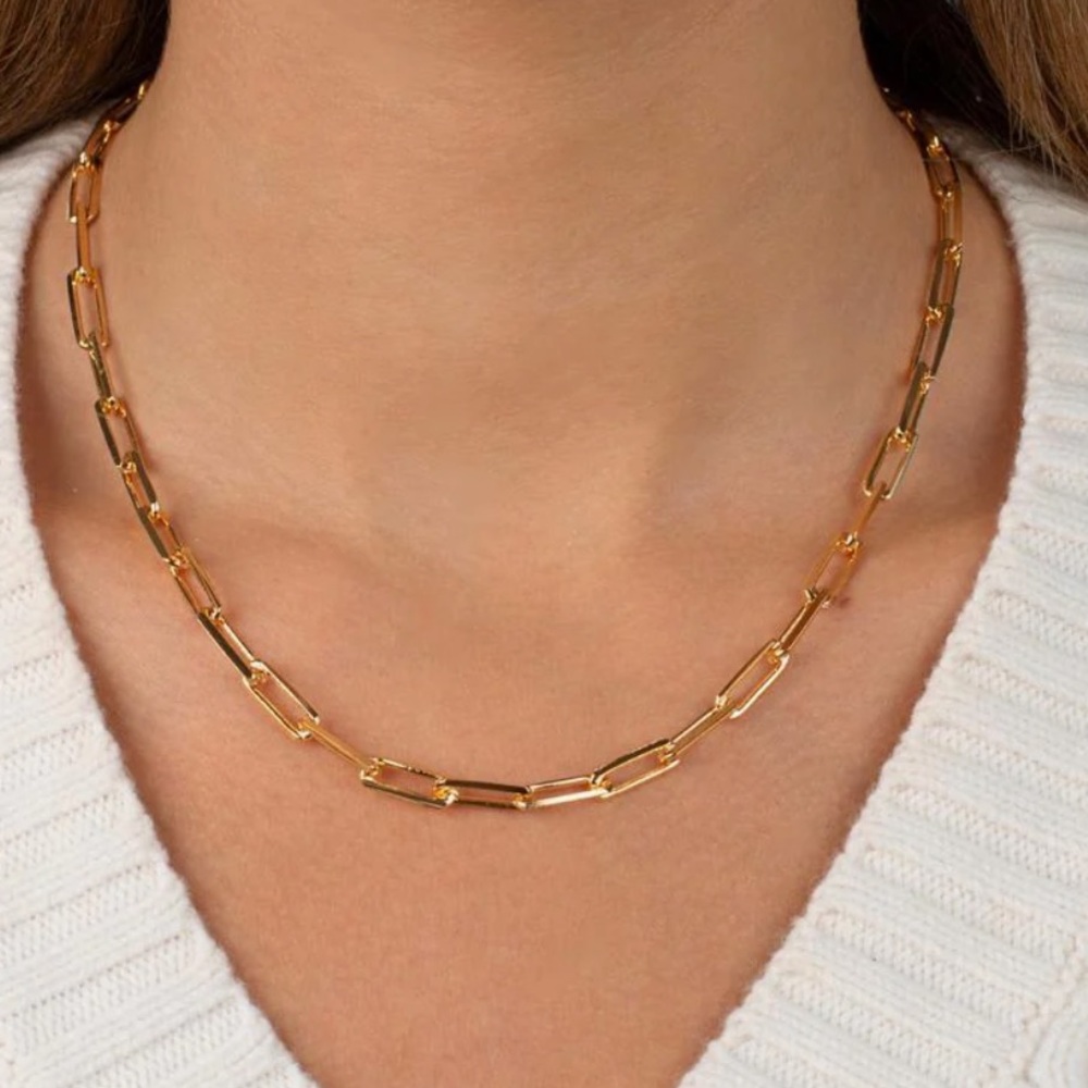 Adina Eden Large Paperclip Link Necklace NWT